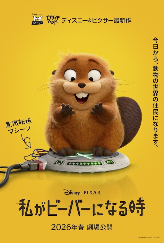 私がビーバーになる時