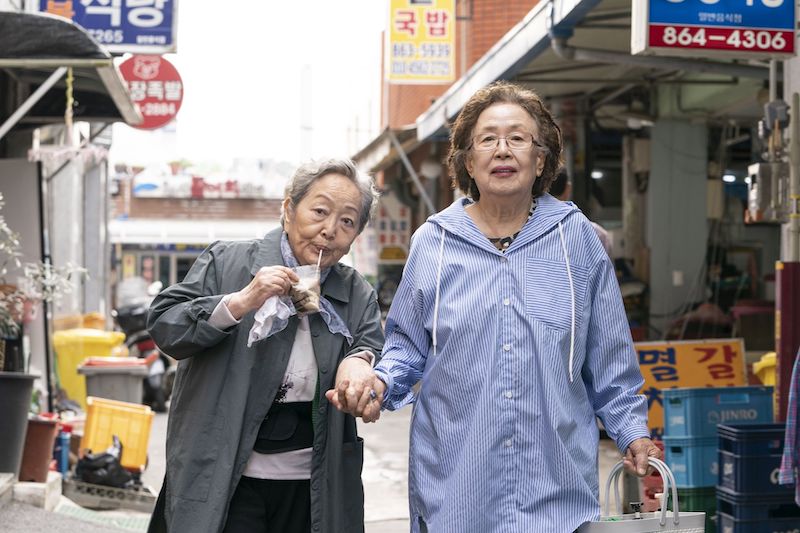 最後のピクニック