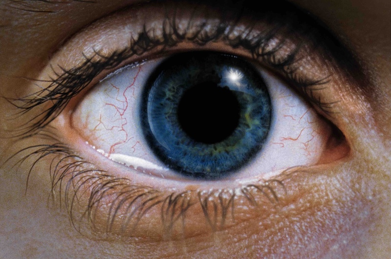 レクイエム・フォー・ドリーム