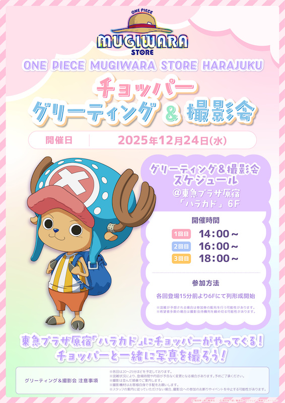 ONE PIECE MUGIWARA STORE HARAJUKU