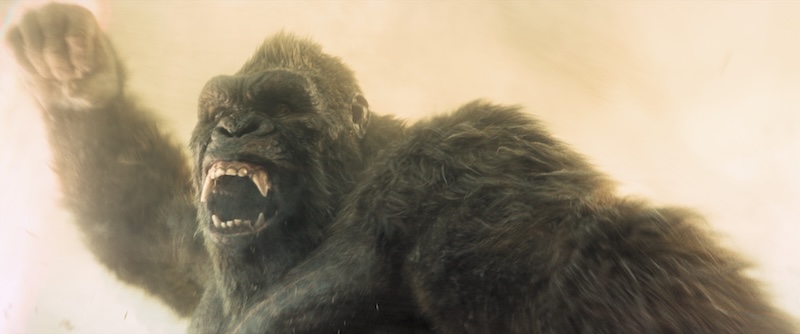 モナーク：レガシー・オブ・モンスターズ