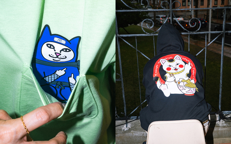 RIPNDIP