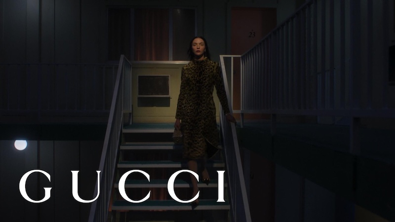 gucci